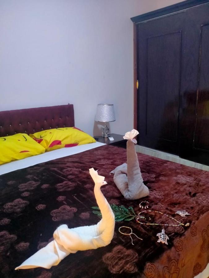 Lady Queen Apartment *